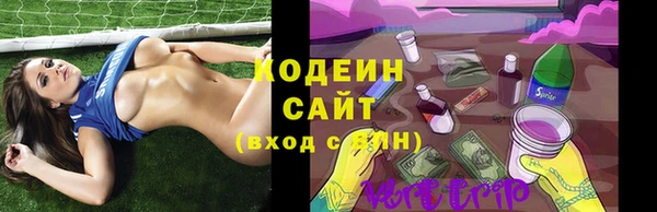 соль ск Дмитриев
