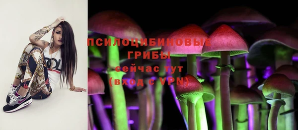 трава Дмитровск