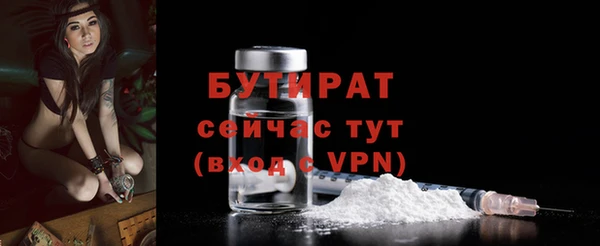 индика Дмитров