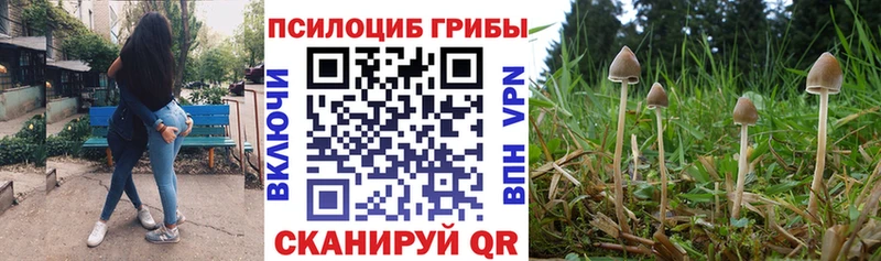 цена   Петушки  kraken ссылки  Псилоцибиновые грибы ЛСД 