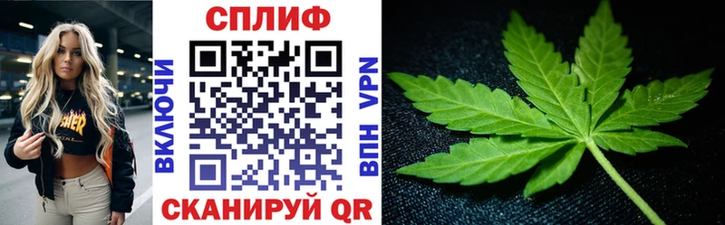 Каннабис MAZAR  купить  сайты  маркетплейс как зайти  Петушки 